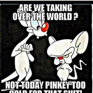 Meet your Posher, Susan